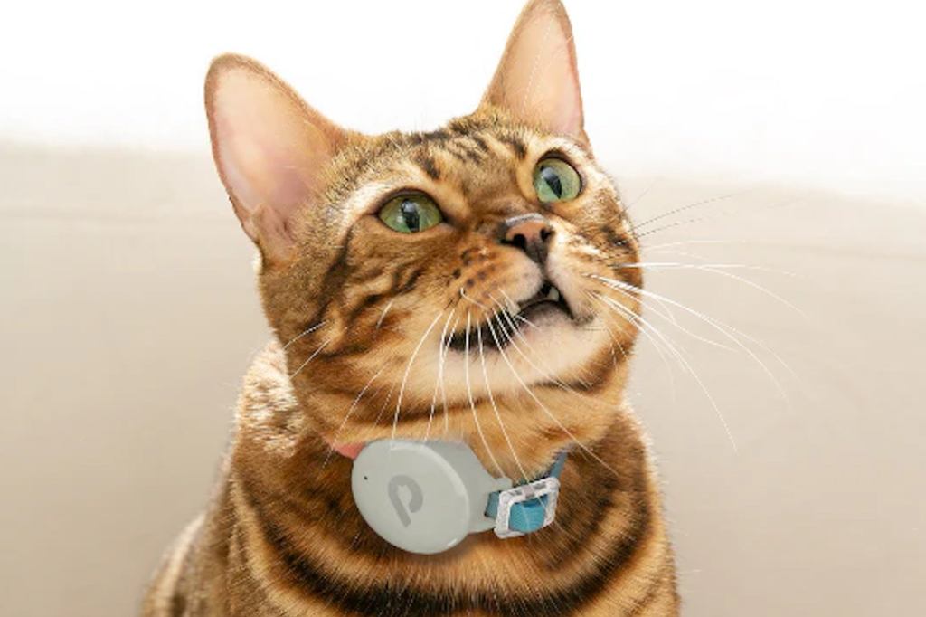 5 of the Strangest Products at CES 2026