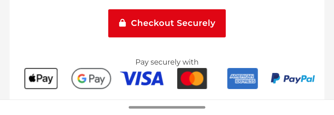 Red Checkout Securely button with accepted payment method logos below.